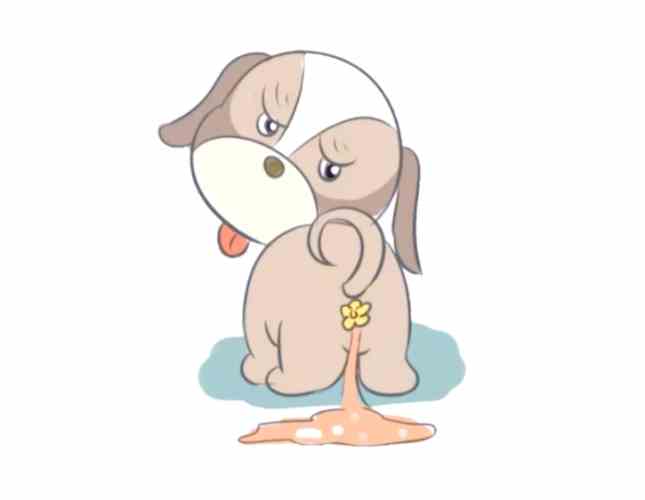 狗狗拉肚子的應對措施