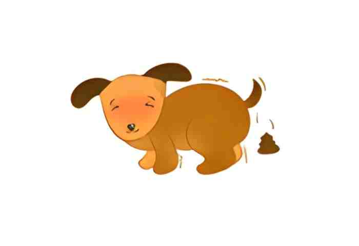 狗狗拉肚子的應對措施