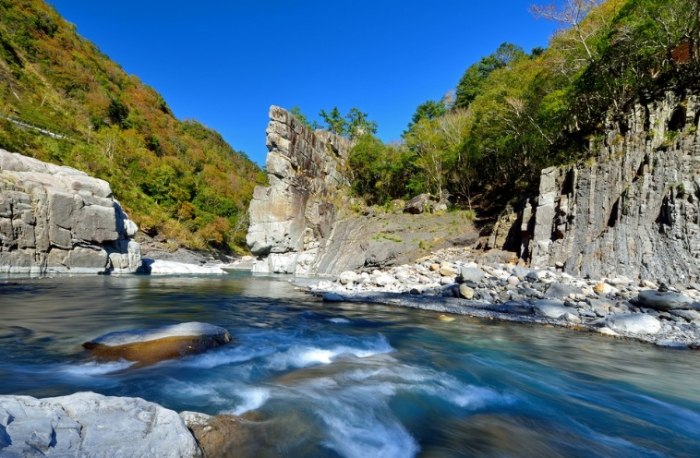 鎮西堡巨木群步道