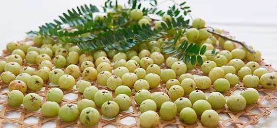 油甘果怎麼吃