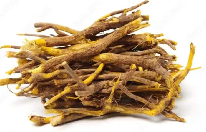 吃黃蓮的好處