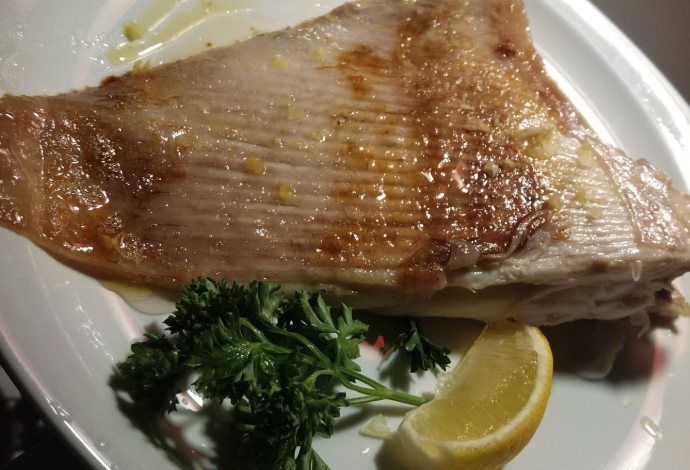魟魚