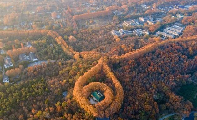 紫金山