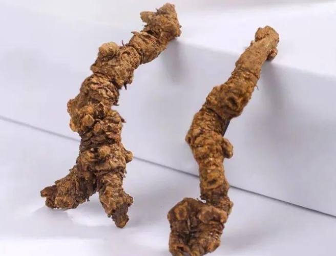 吃黃蓮的好處