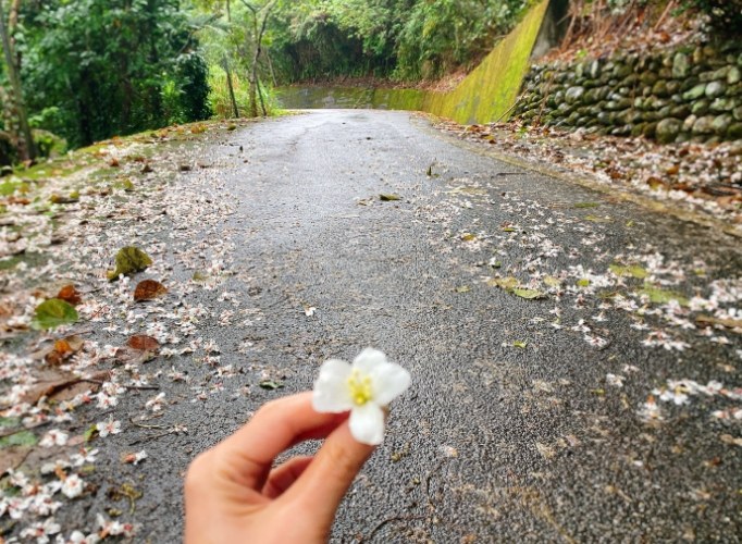 日光步道