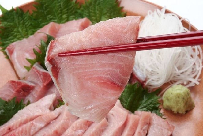 鰤魚